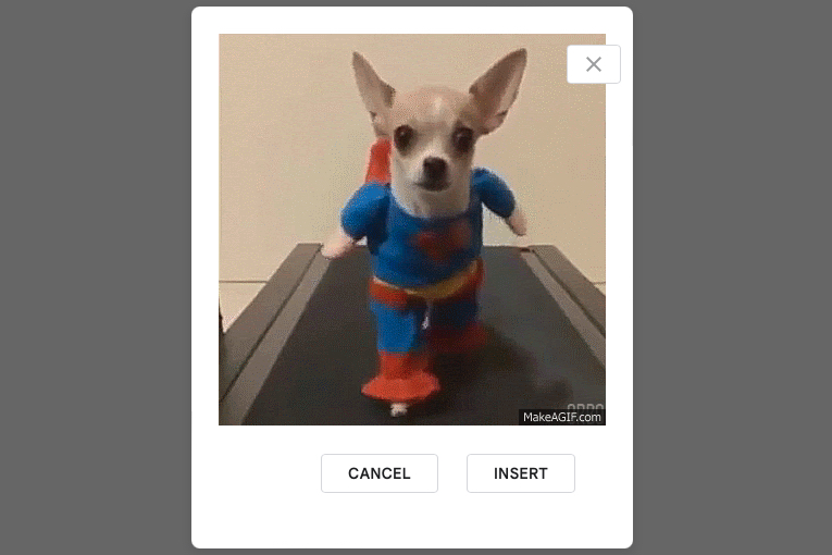 GIF preview to Insert in Google Slides.