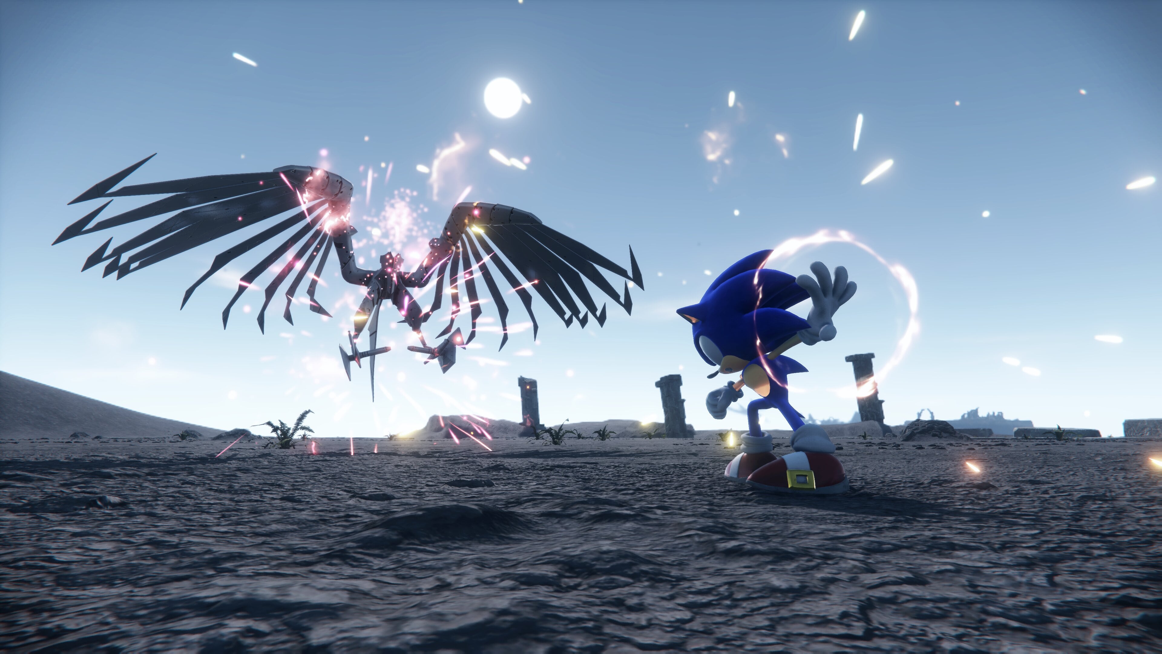 Sonic fights the skeletal Eagle.