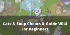 Cats and Soup: A Complete Guide for Beginners