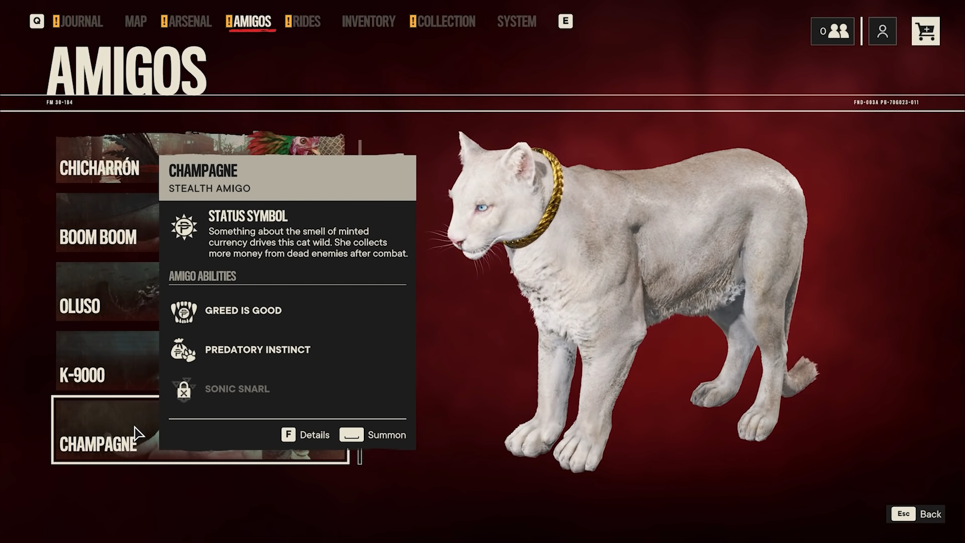 A white panther named Champagne.