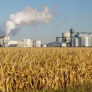 Green Ethanol: Friend or Foe? Unveiling the Truth Behind Fuel Ethanol