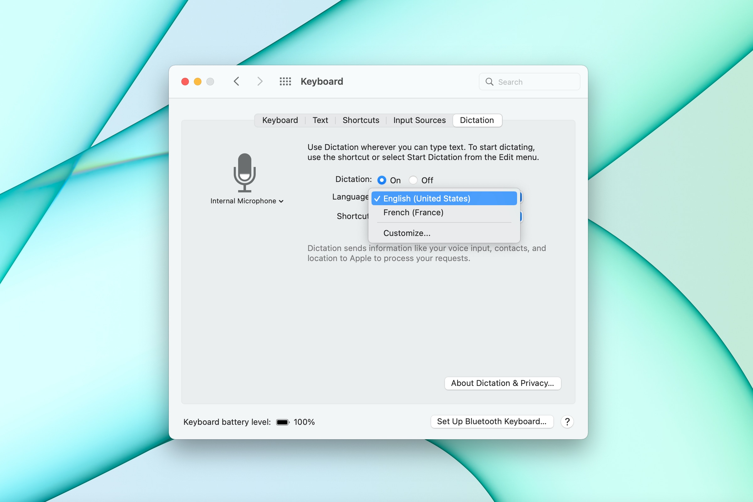 how to use dictation mac enable language
